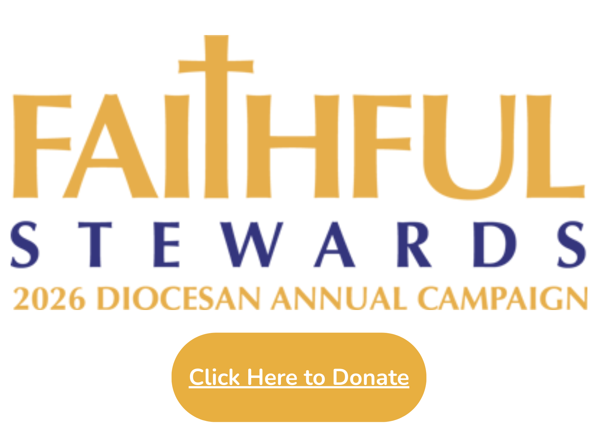 HT Website slider DAC